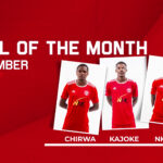Vote for your November Goal of the Month